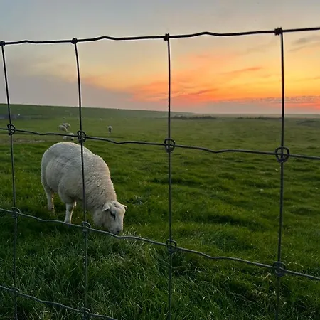 Strandmeerchen 펜션