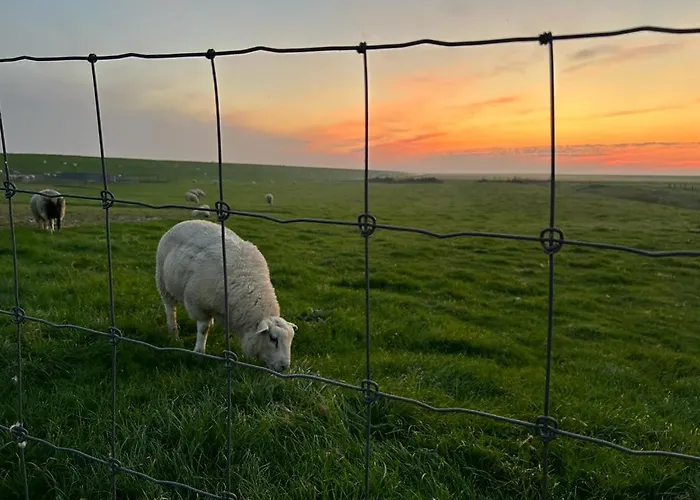 Strandmeerchen 度假居